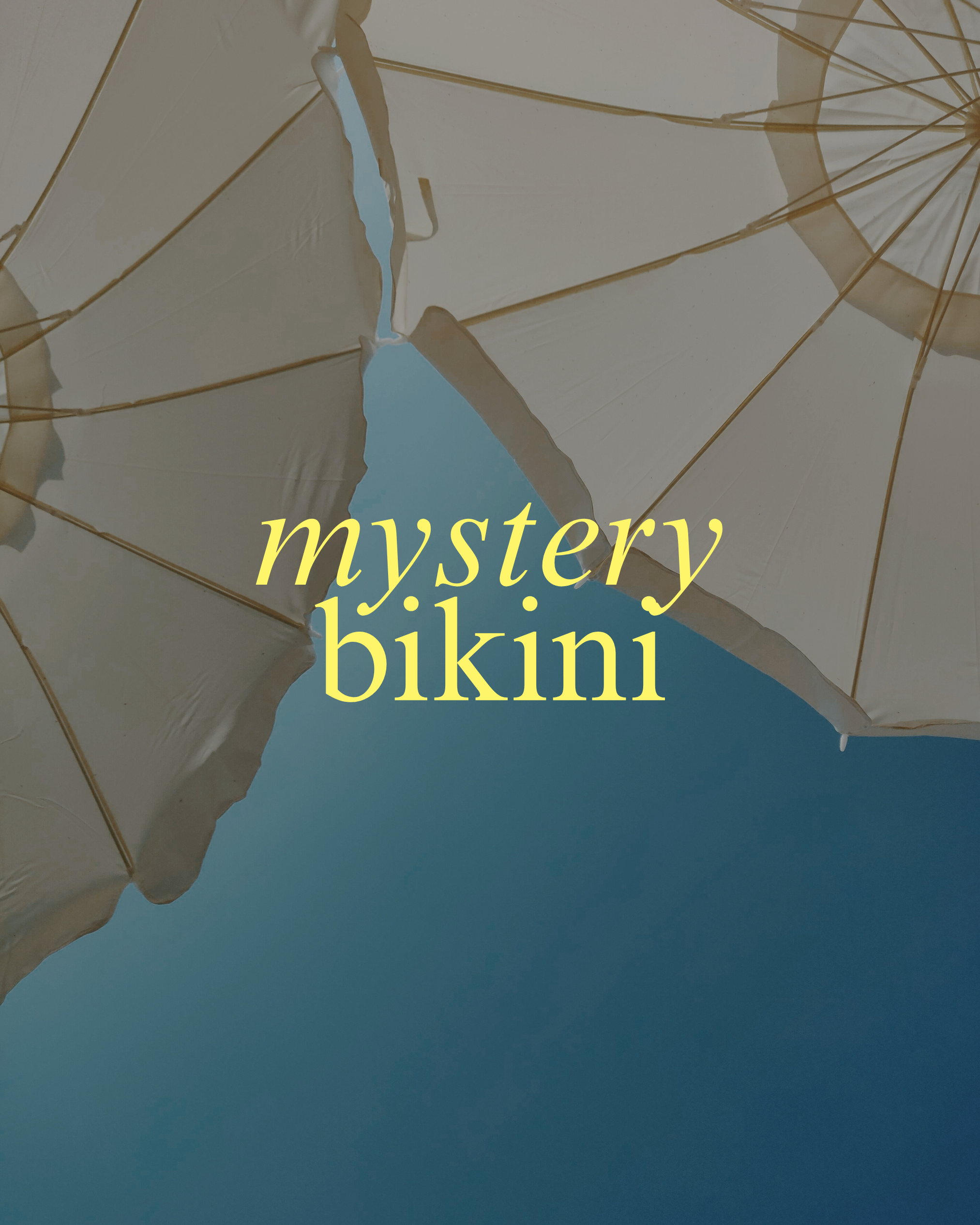 Archive Mystery Bikini (Final Sale) (100% off)